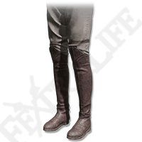 Traveler's Boots Image